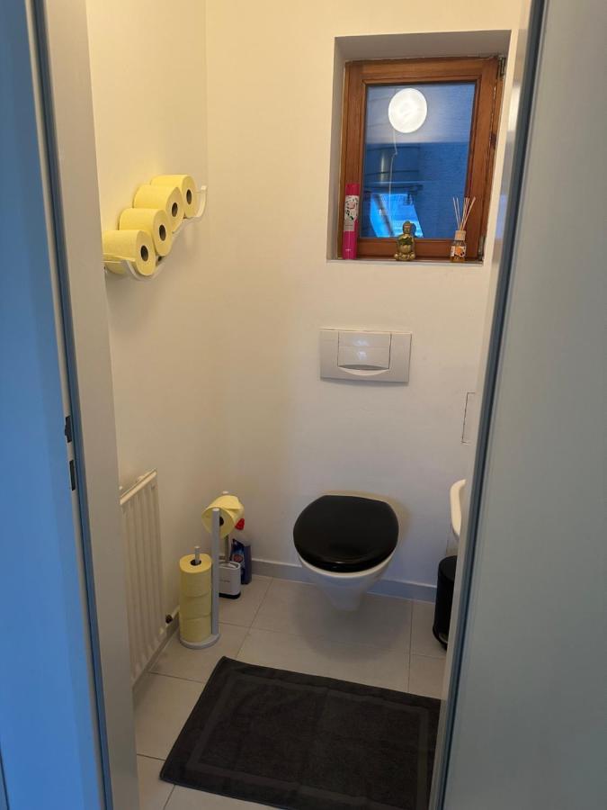 Klimatisiertes Dachgeschoss City Apartment In Zentrum Wiens Esterno foto